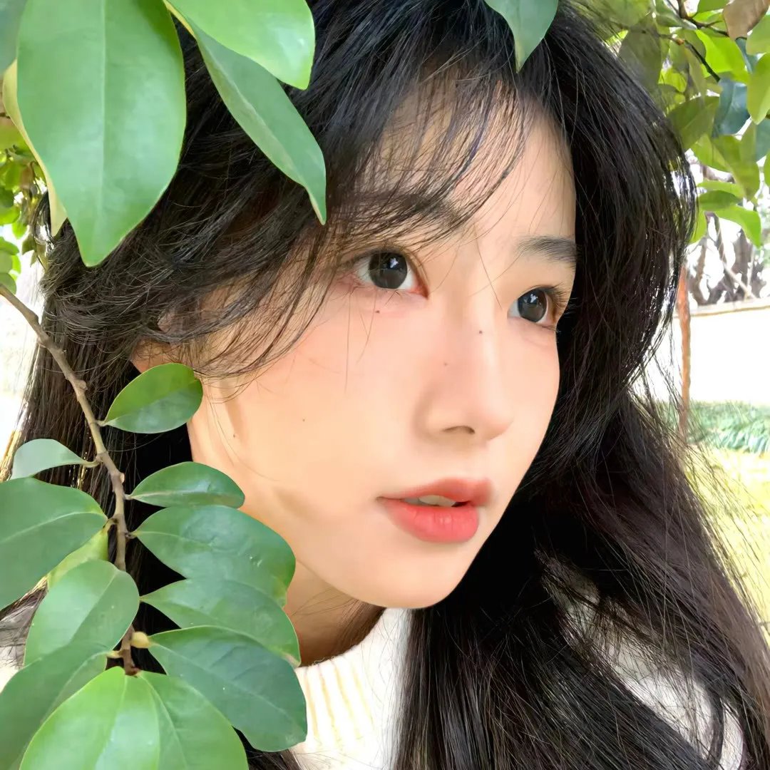 静默地带